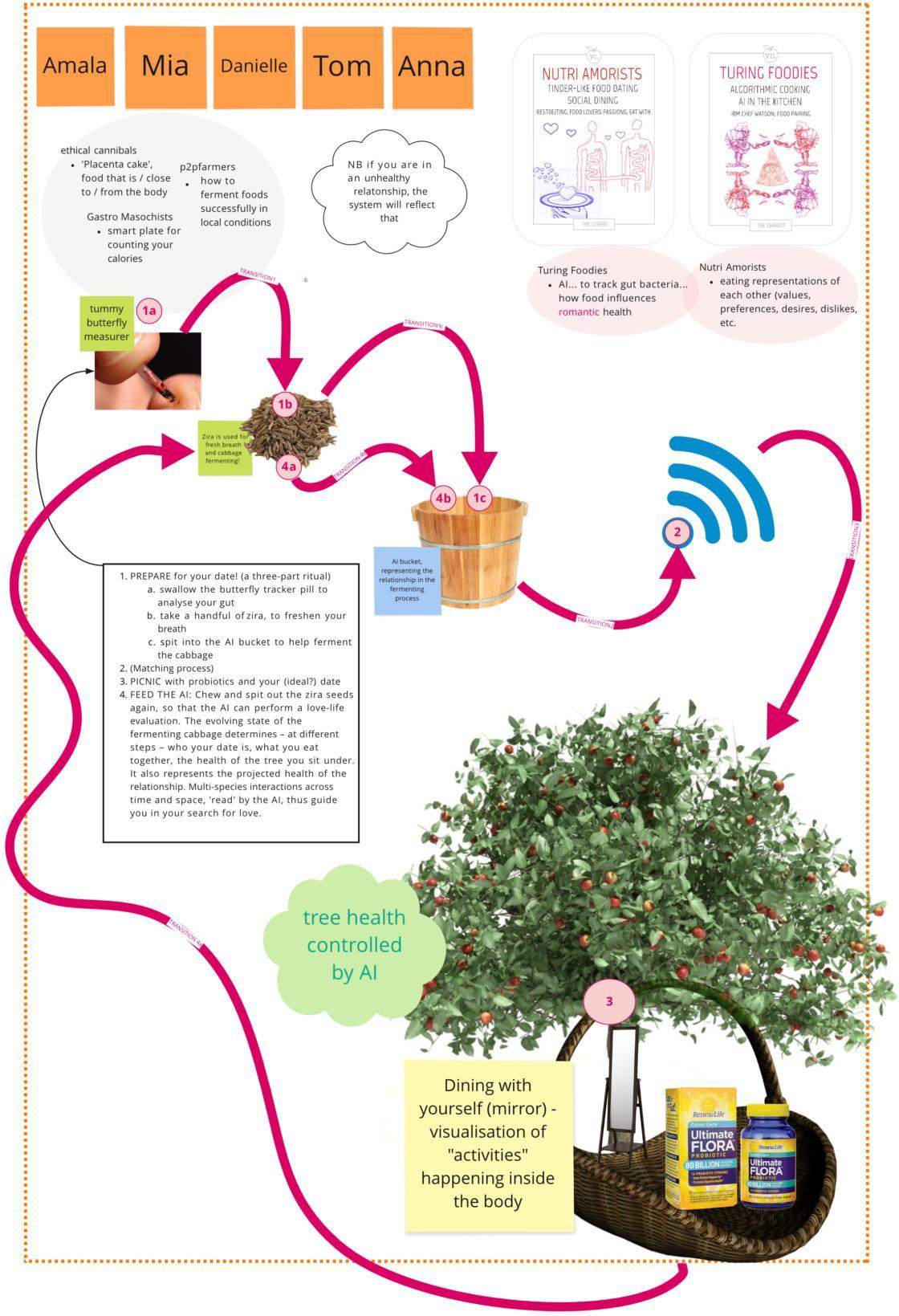 How to Establish a Small-Scale, Pastured Poultry Operation - Rodale  Institute